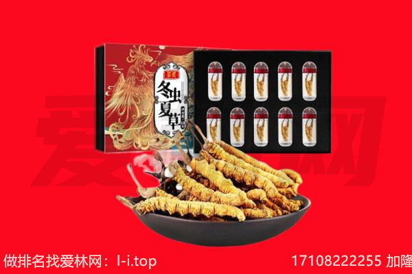 长春市绿园回收虫草.jpg